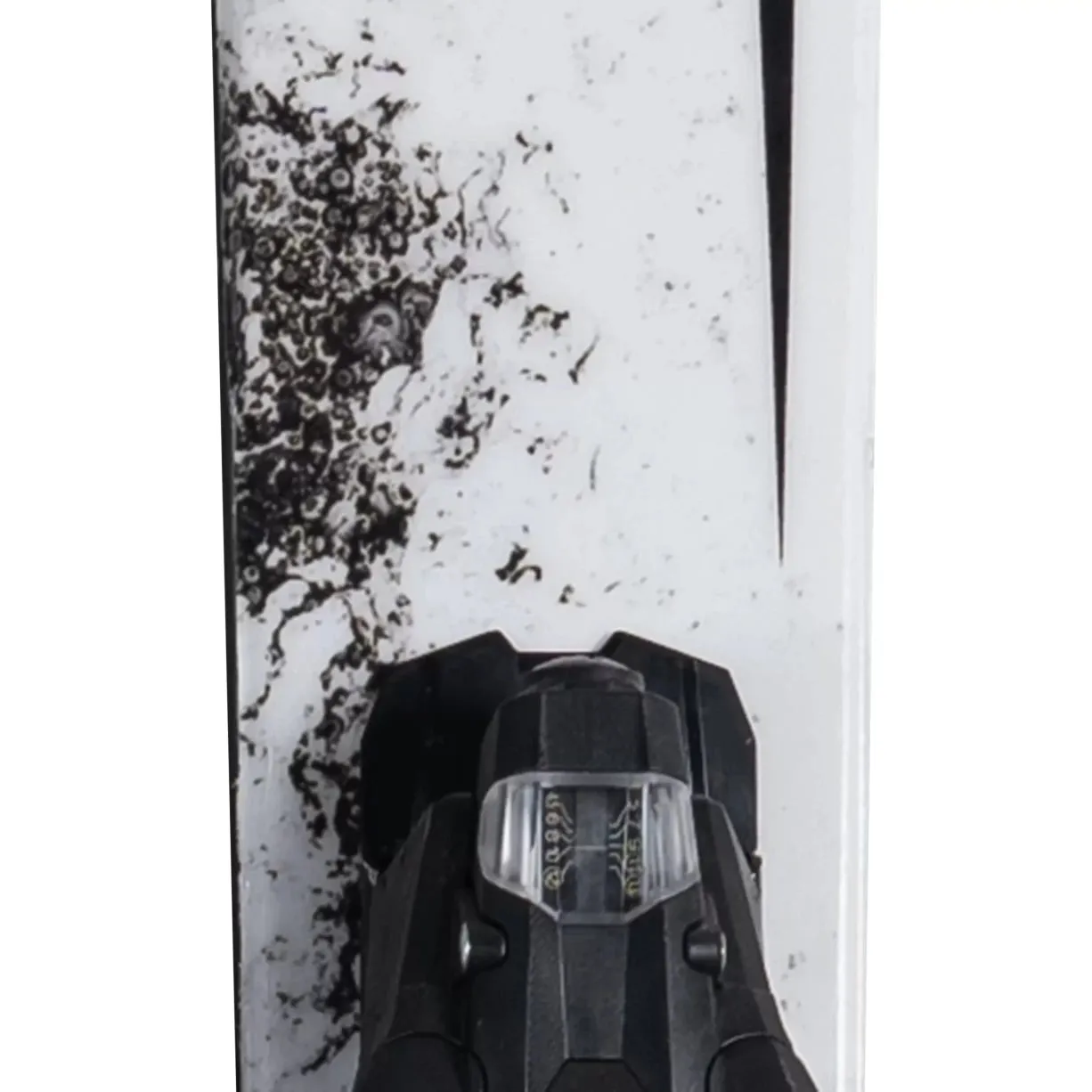 Armada BDog Skis w/ Strive 13 Demo Bindings 2025 - 180cm